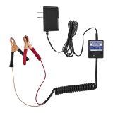 12V Automatic Battery Maintainer